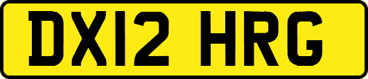 DX12HRG