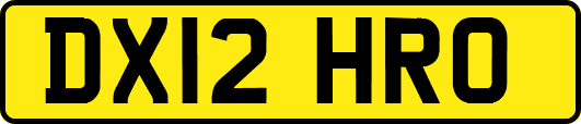 DX12HRO