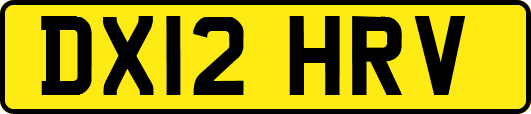 DX12HRV