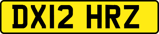 DX12HRZ