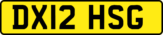 DX12HSG