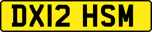 DX12HSM