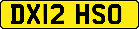 DX12HSO