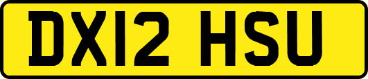 DX12HSU