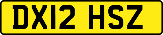 DX12HSZ