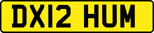 DX12HUM