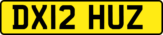 DX12HUZ