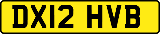 DX12HVB