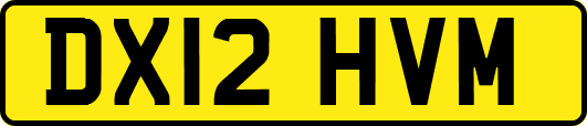 DX12HVM