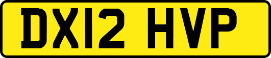 DX12HVP