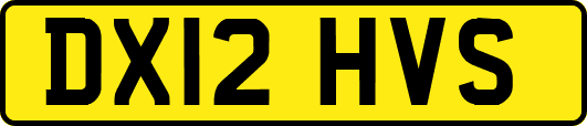 DX12HVS