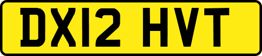 DX12HVT
