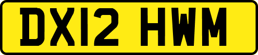 DX12HWM