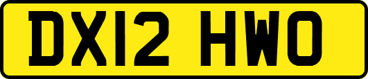 DX12HWO