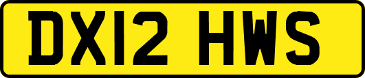 DX12HWS