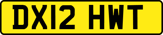 DX12HWT