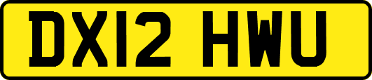 DX12HWU