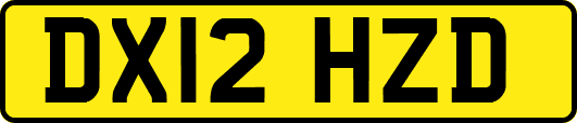 DX12HZD