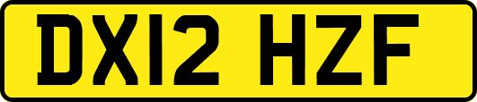 DX12HZF