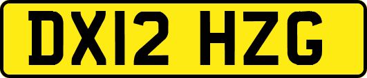 DX12HZG