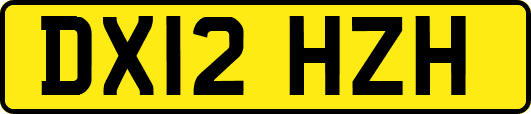 DX12HZH