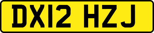 DX12HZJ