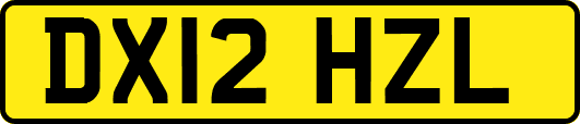 DX12HZL