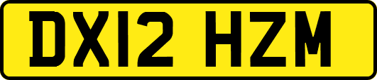 DX12HZM