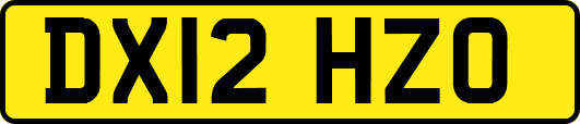 DX12HZO