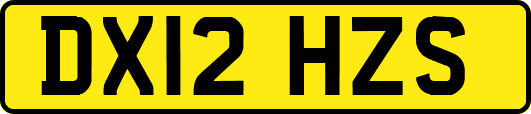 DX12HZS