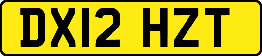 DX12HZT