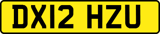 DX12HZU