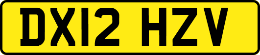 DX12HZV