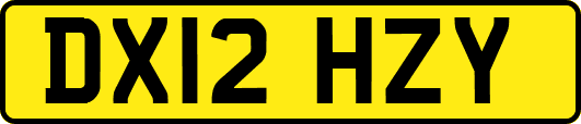 DX12HZY