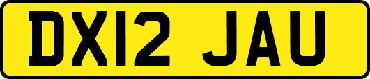 DX12JAU