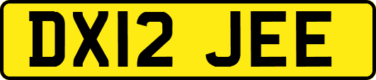 DX12JEE