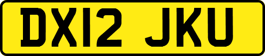 DX12JKU