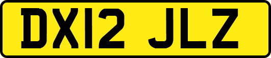 DX12JLZ
