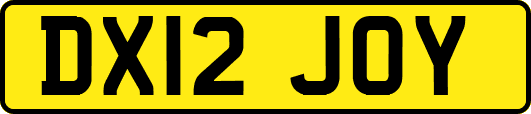 DX12JOY