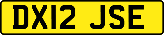 DX12JSE
