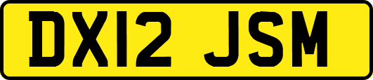 DX12JSM