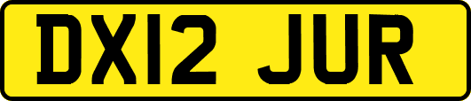 DX12JUR