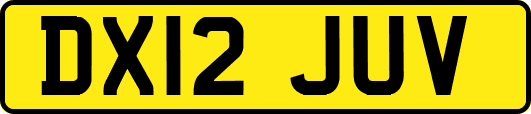 DX12JUV