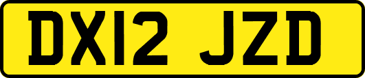 DX12JZD