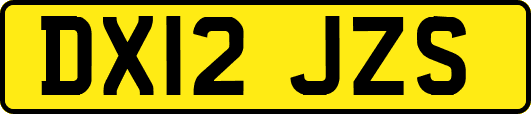 DX12JZS