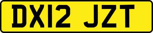 DX12JZT