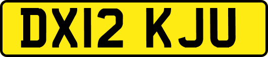 DX12KJU