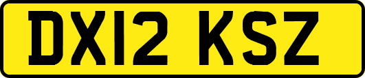 DX12KSZ