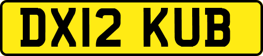 DX12KUB
