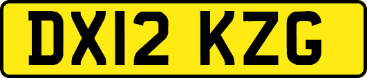 DX12KZG